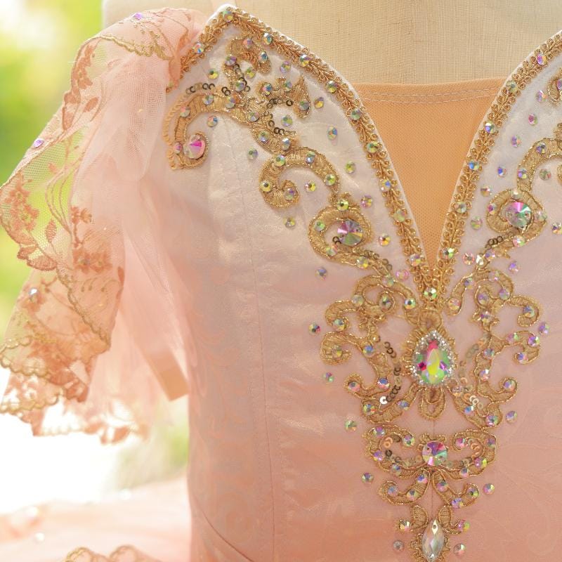 Floral Hand-Embroidered Ballet Tutu, Custom Luxury Adult & Child Aurora Performance Costume, HeavyCraftsmanship