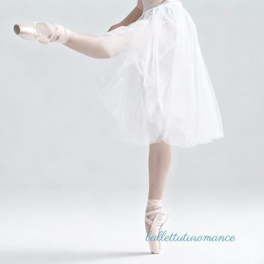 Custom Ballet Tutu Skirt, Personalized Fairy Dance Wear, Elastic Band with Tie-Up Straps