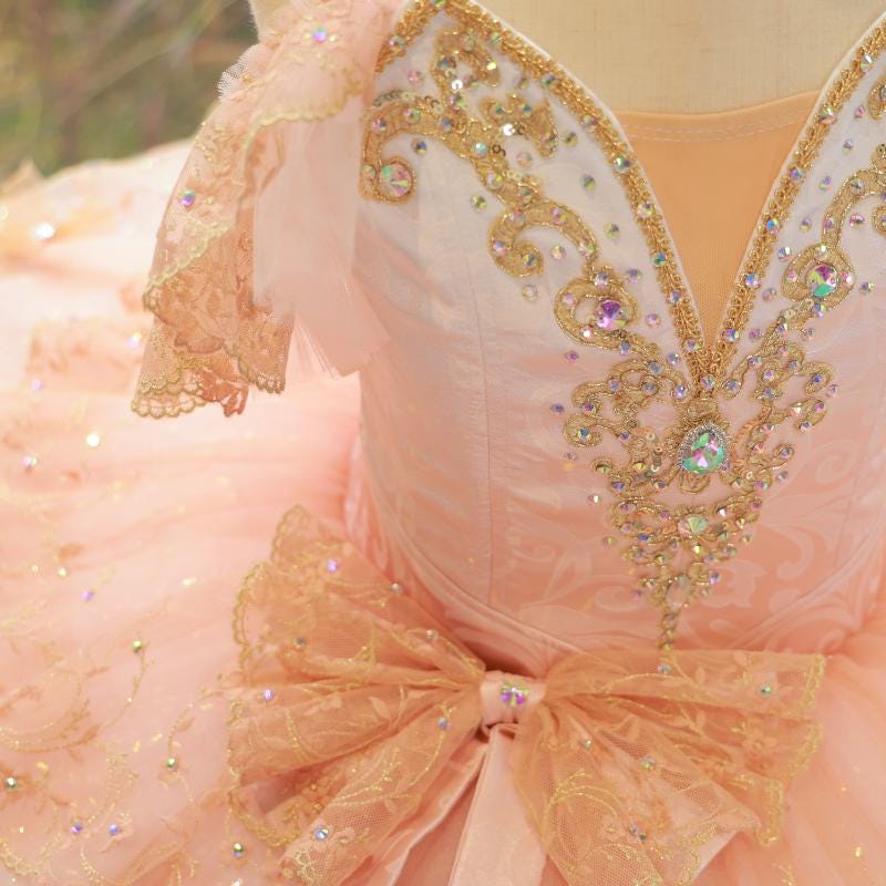 Floral Hand-Embroidered Ballet Tutu, Custom Luxury Adult & Child Aurora Performance Costume, HeavyCraftsmanship