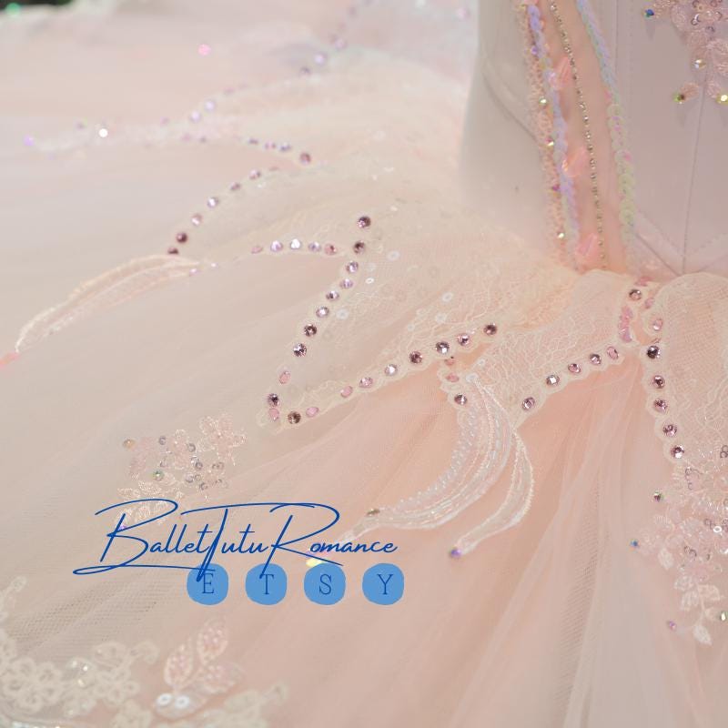 Blush Pink Ballet Tutu Dress: Luxury Crystal Embellished Recital Outfit
