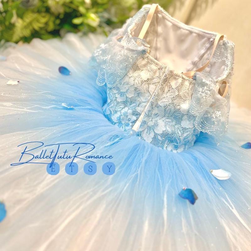 Customized Ice Blue Ombré Ballet Tutu,Adult & Child, Swan Lake/Cinderella Fairy Dance Wear