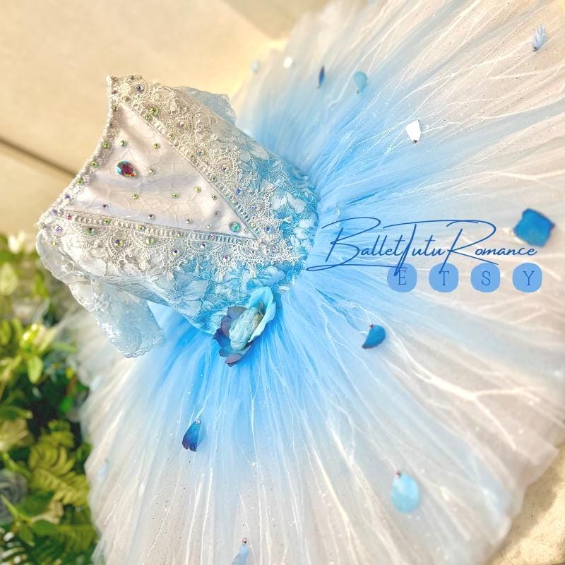 Customized Ice Blue Ombré Ballet Tutu,Adult & Child, Swan Lake/Cinderella Fairy Dance Wear