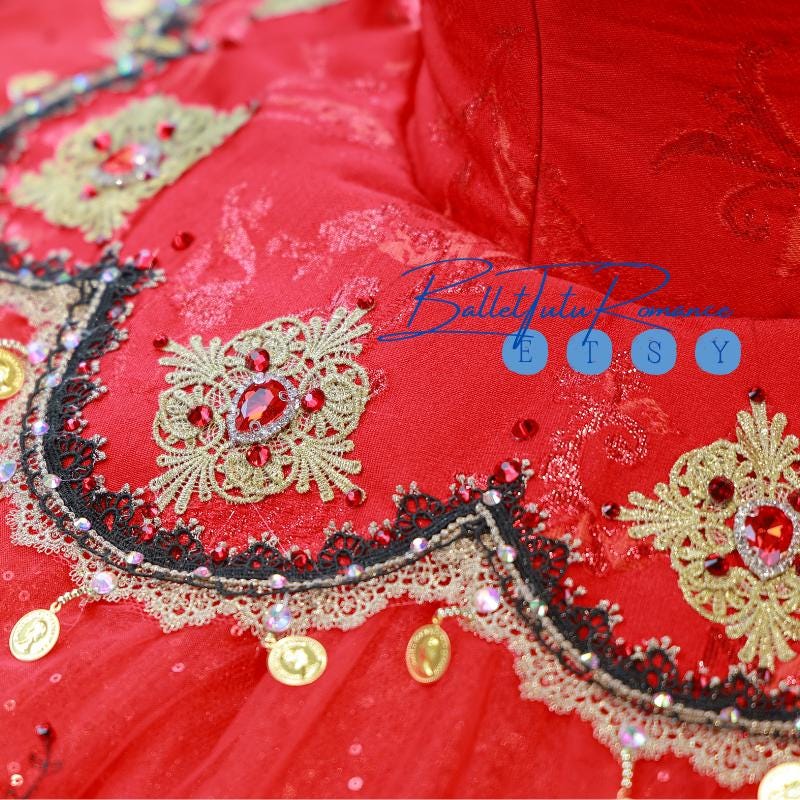 Luxury Handmade Red Embroidered Ballet Tutu, Custom Adult & Child Ballerina Costume for Performances