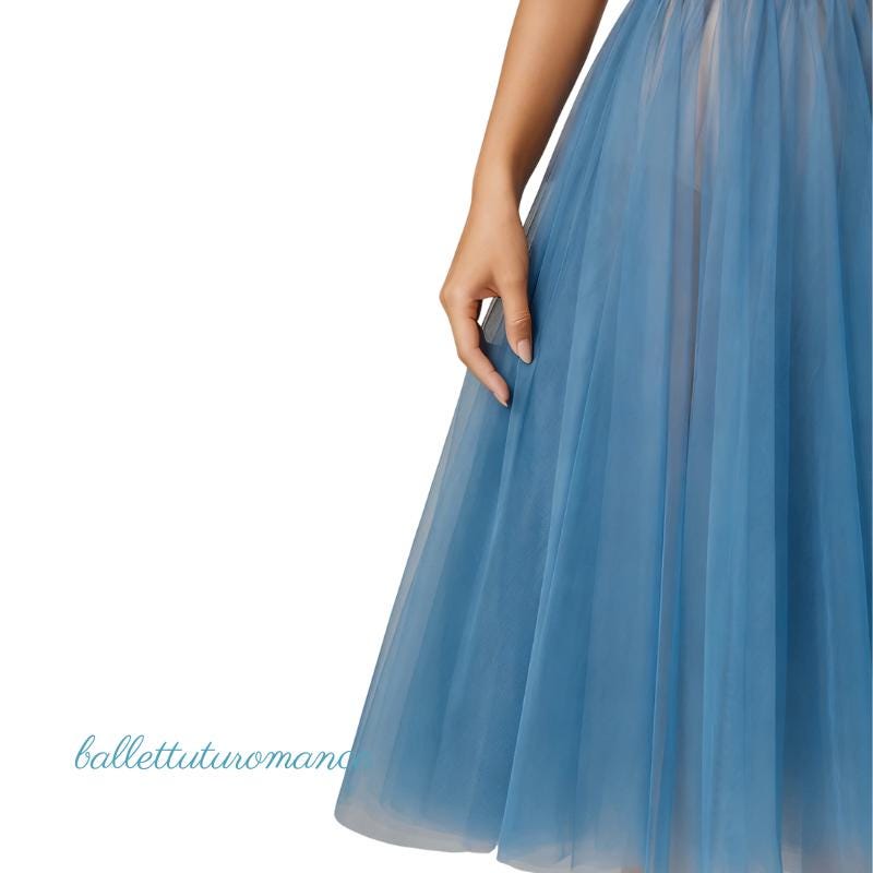 Custom Ballet Tutu Skirt, Personalized Fairy Dance Wear, Elastic Band with Tie-Up Straps