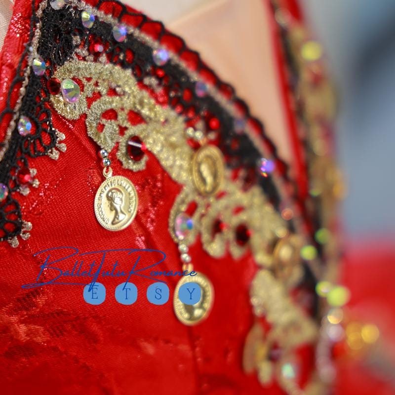 Luxury Handmade Red Embroidered Ballet Tutu, Custom Adult & Child Ballerina Costume for Performances