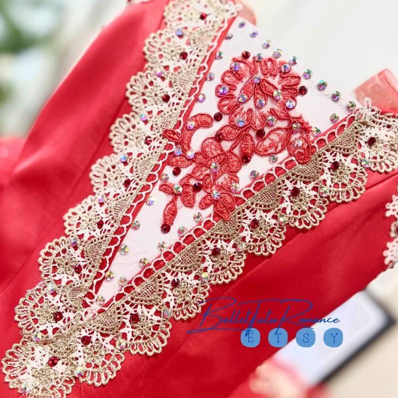 Custom Red Lace Ballet Tutu: Adult/Child Swan Lake/Cinderella Costume, Luxury Tutu