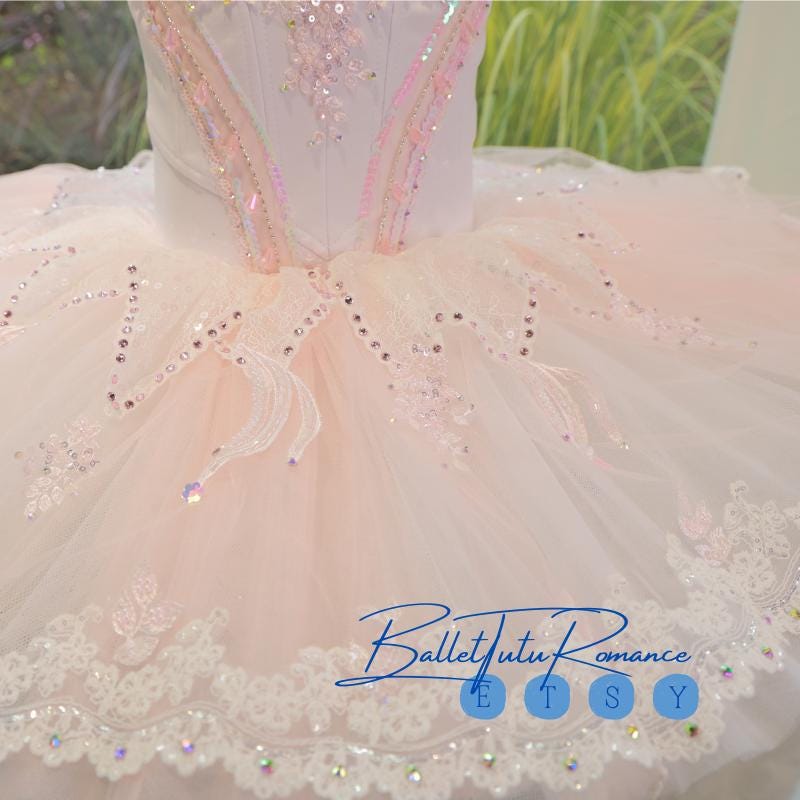 Blush Pink Ballet Tutu Dress: Luxury Crystal Embellished Recital Outfit