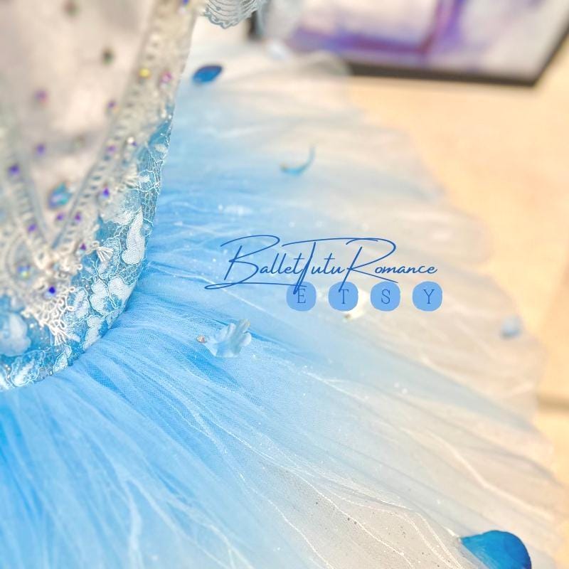 Customized Ice Blue Ombré Ballet Tutu,Adult & Child, Swan Lake/Cinderella Fairy Dance Wear