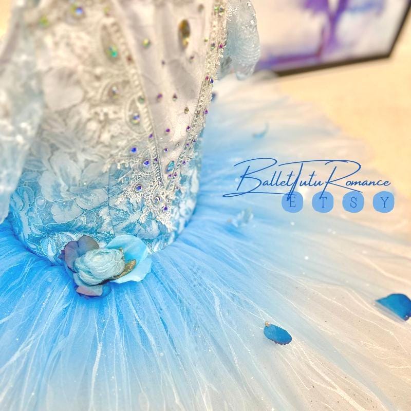 Customized Ice Blue Ombré Ballet Tutu,Adult & Child, Swan Lake/Cinderella Fairy Dance Wear