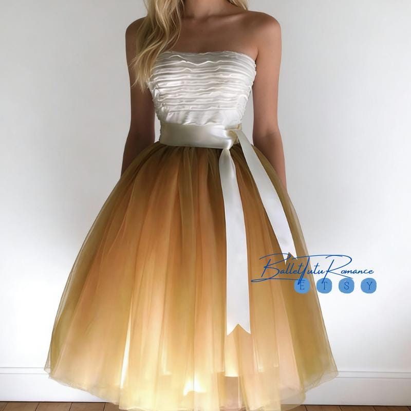 Customized Elegant Adult Ballet Tulle Skirt, Performance Practice Wear, Long Fluffy Dance Skirt, Photoshoot