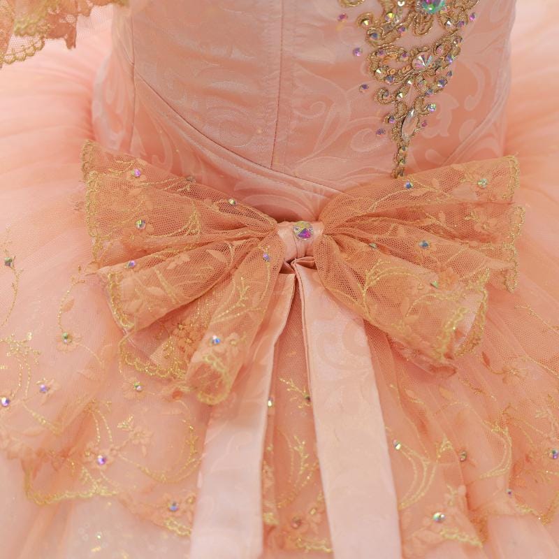 Floral Hand-Embroidered Ballet Tutu, Custom Luxury Adult & Child Aurora Performance Costume, HeavyCraftsmanship